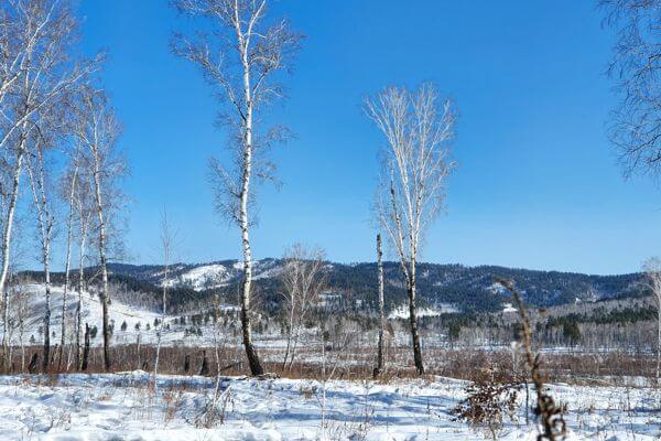 Mongolia Winter