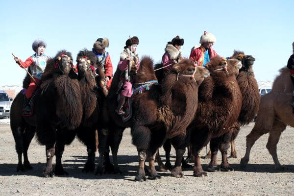 Camel Festival Goers