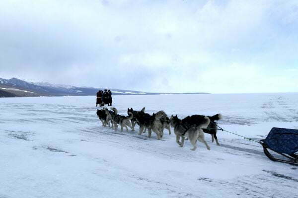 Dog Sled on Khovsgol Lake
