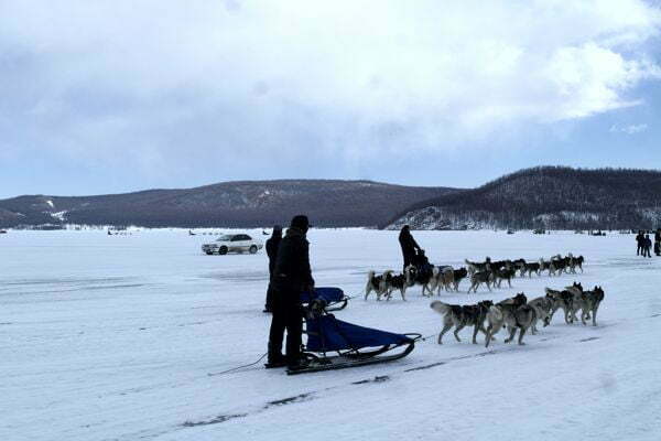 Dog Sledding Mongolia